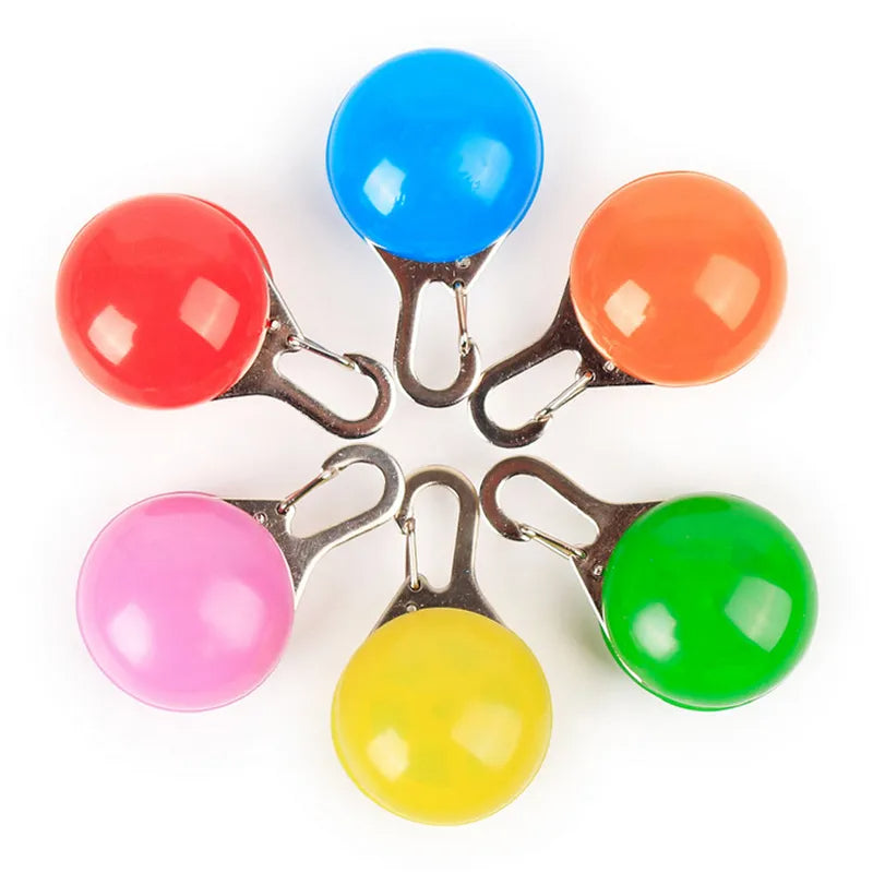 LED Dog Collar & Pendant Set