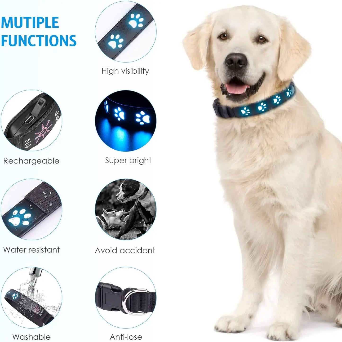 Pawprint LED Dog Collar