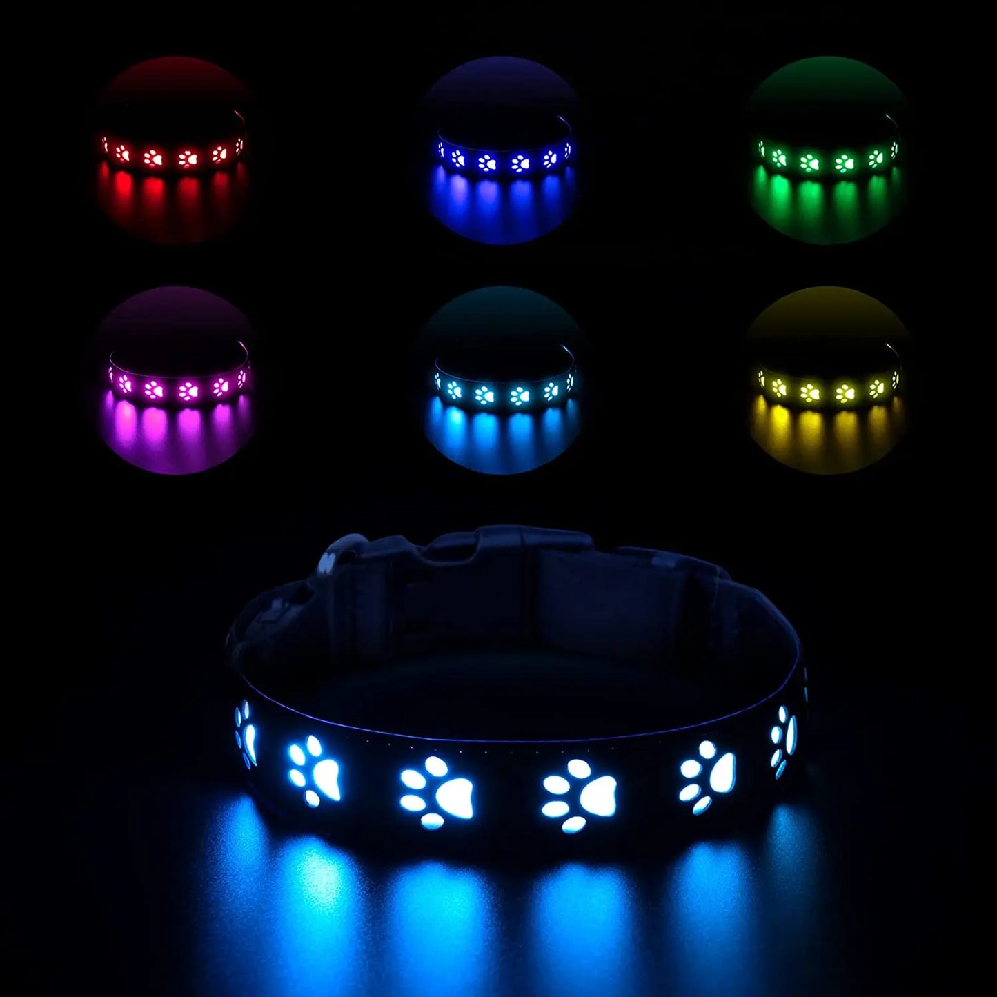 Pawprint LED Dog Collar