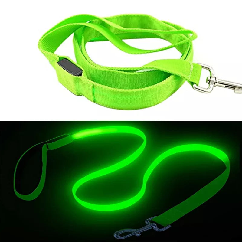 LED Light-Up Dog Leash
