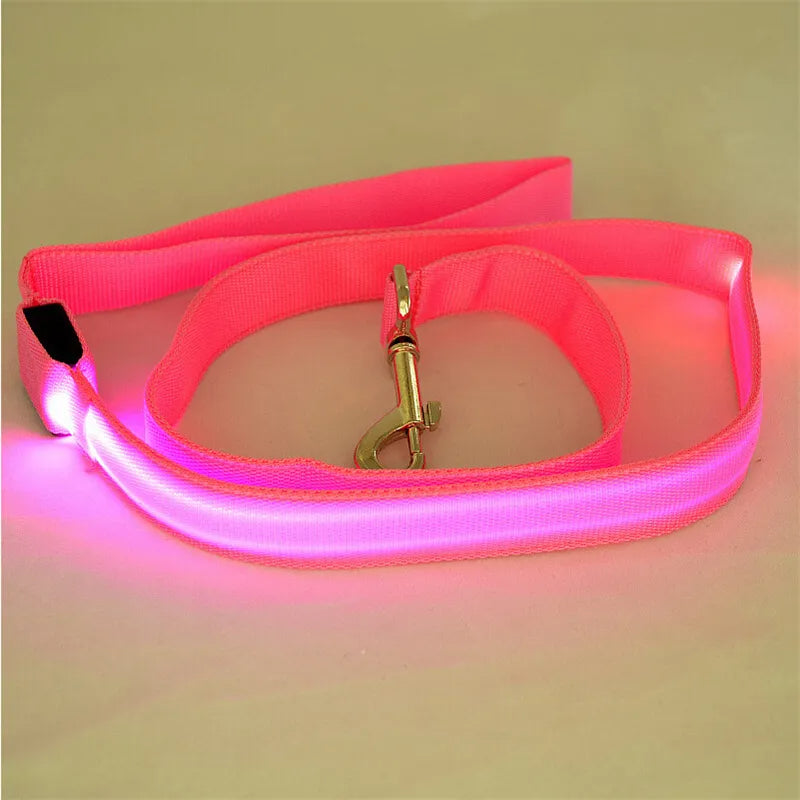 LED Light-Up Dog Leash