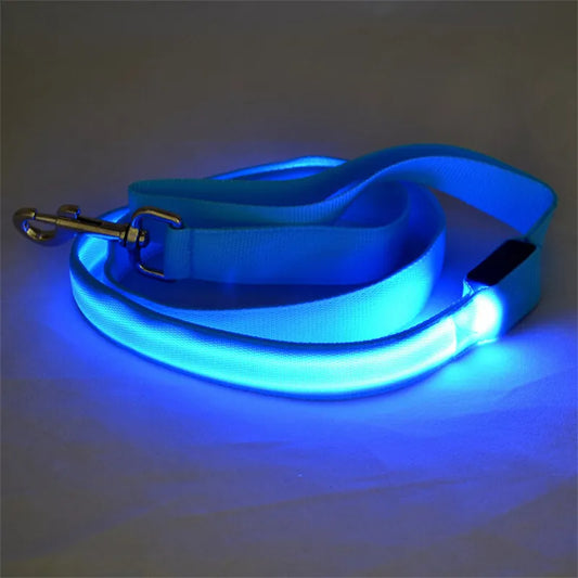LED Light-Up Dog Leash