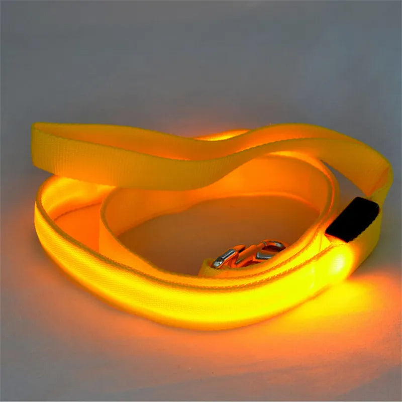 LED Light-Up Dog Leash