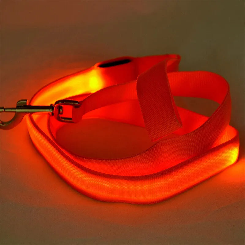 LED Light-Up Dog Leash