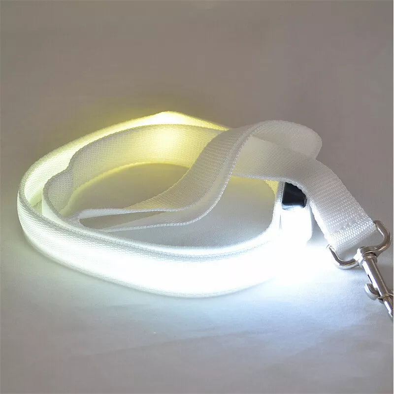 LED Light-Up Dog Leash