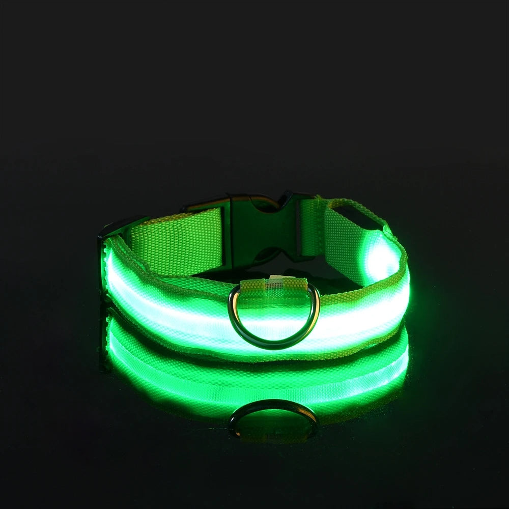 LED Dog Collar & Pendant Set