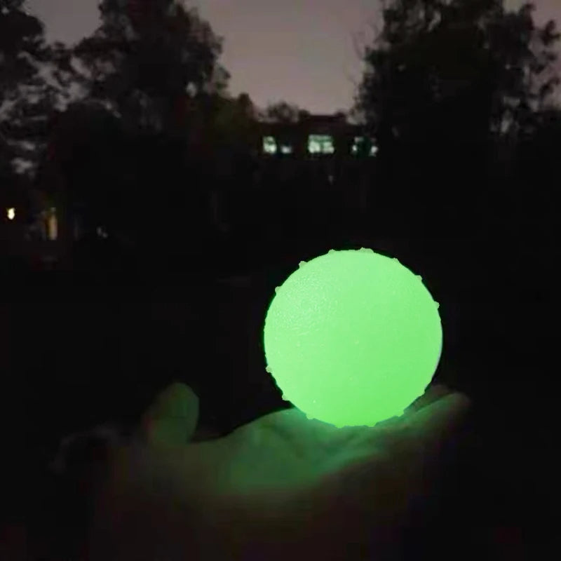 Glow-in-the-Dark Dog Ball