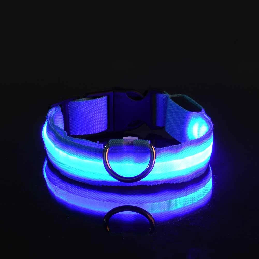 LED Dog Collar & Pendant Set