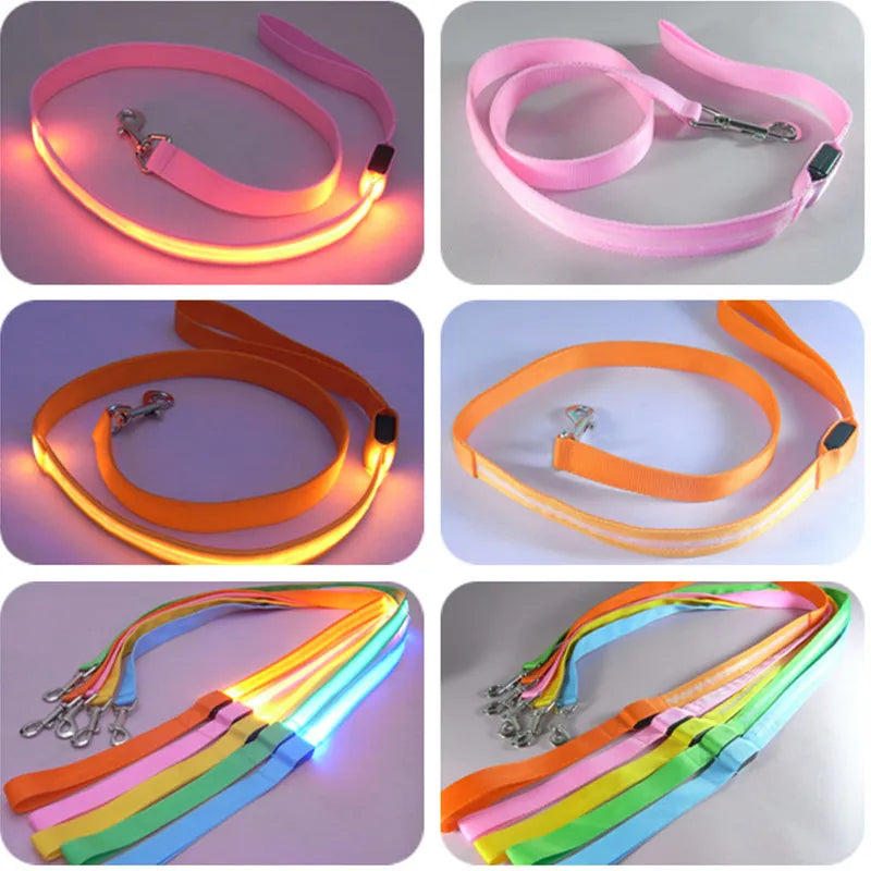 LED Light-Up Dog Leash