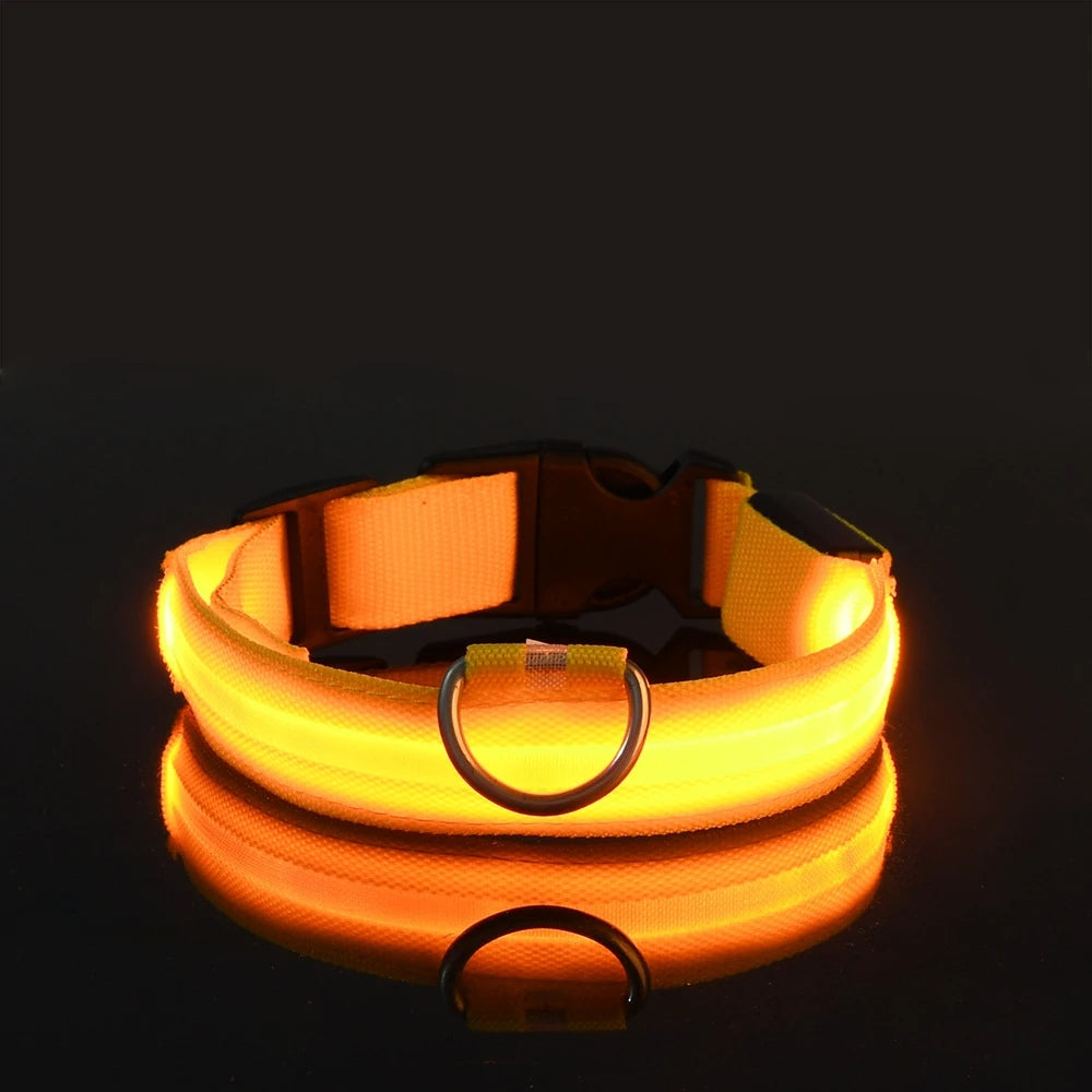 LED Dog Collar & Pendant Set