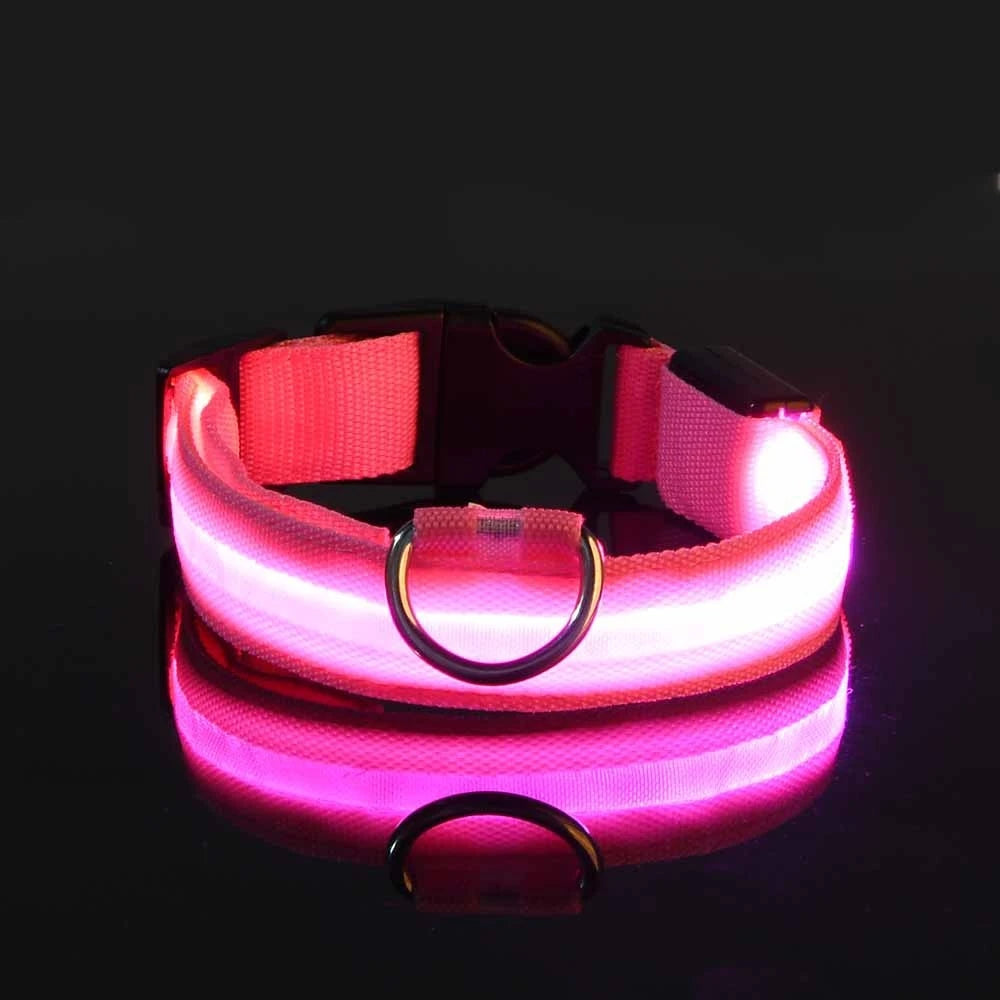 LED Dog Collar & Pendant Set