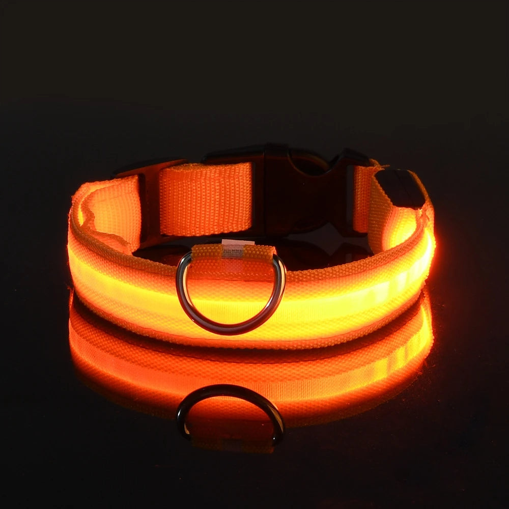 LED Dog Collar & Pendant Set