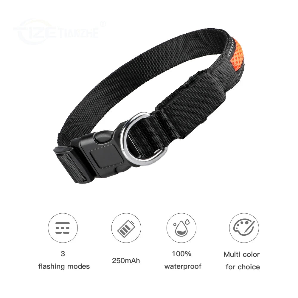 Premium Mesh LED Dog Collar