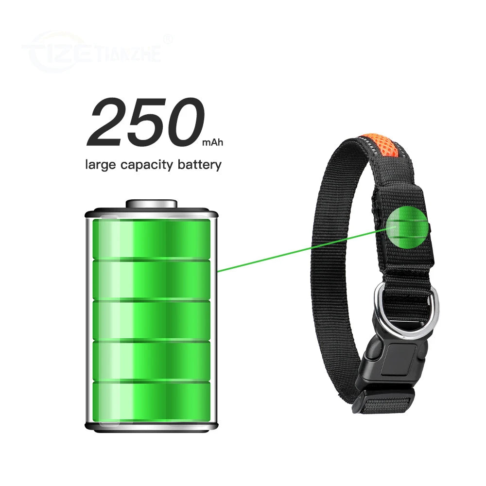 Premium Mesh LED Dog Collar