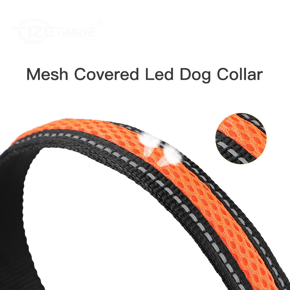 Premium Mesh LED Dog Collar