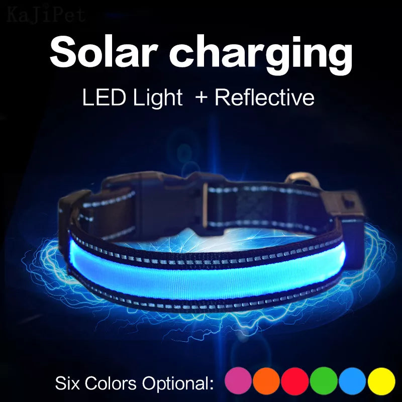 Solar Charging LED Dog Collar