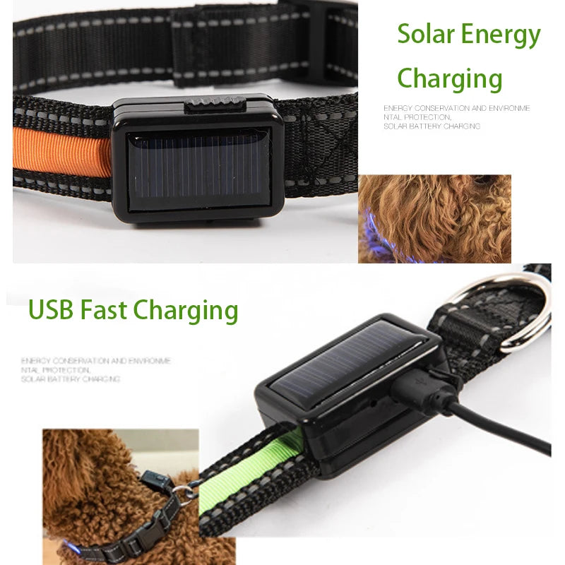 Solar Charging LED Dog Collar