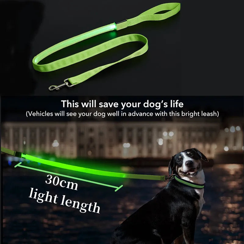LED Light-Up Dog Leash