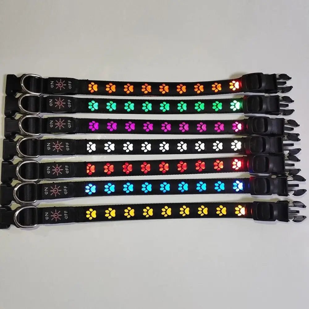 Pawprint LED Dog Collar