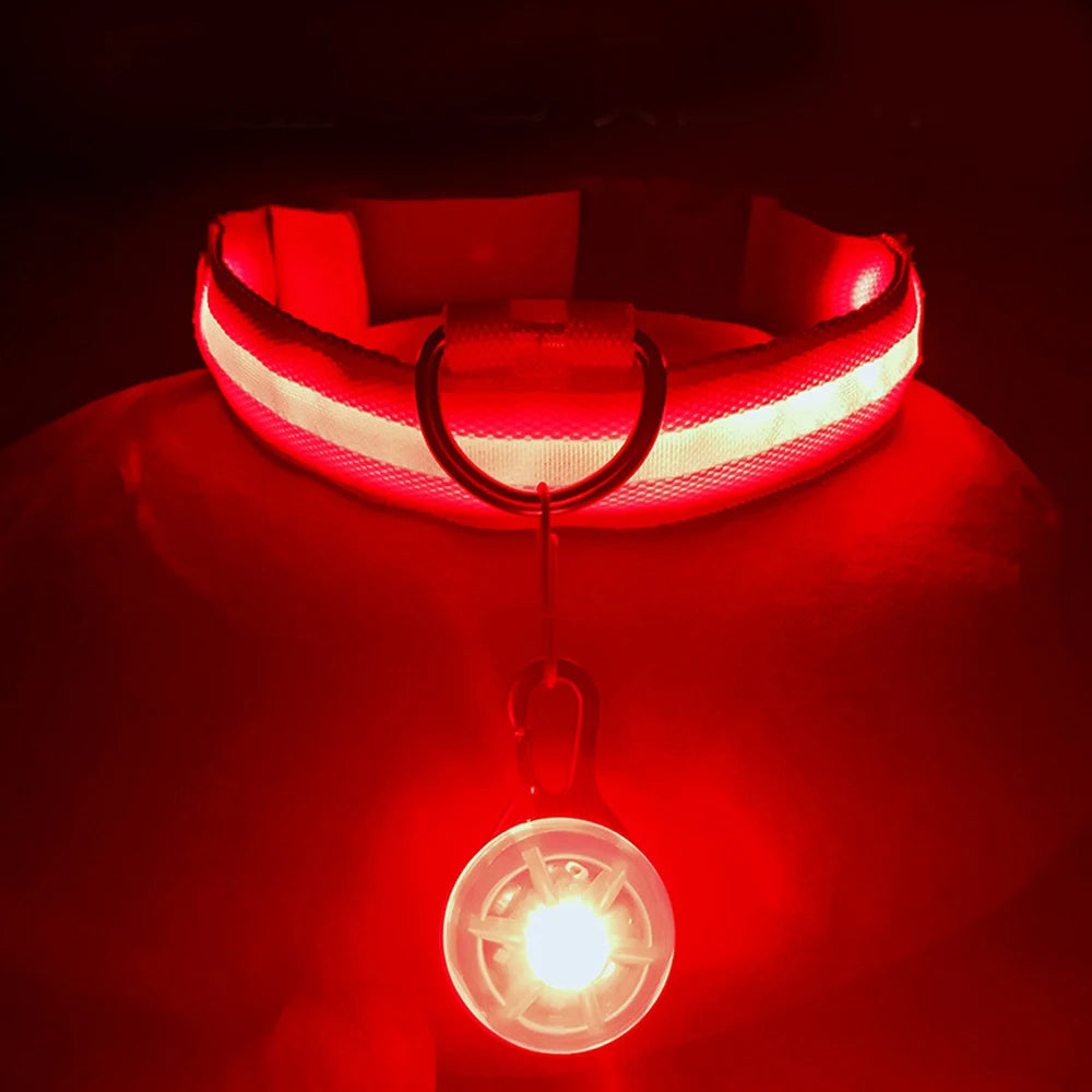 LED Dog Collar & Pendant Set
