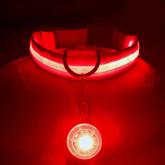 LED Dog Collar & Pendant Set